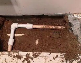 安新县测漏水哪家好